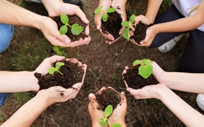 How to Build a Self-Reliant Community