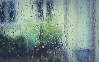 Natural Ways to Combat Seasonal Affective Disorder (SAD)