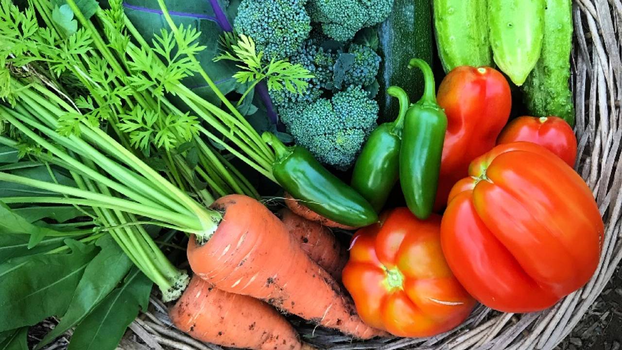 Seed-to-Soil