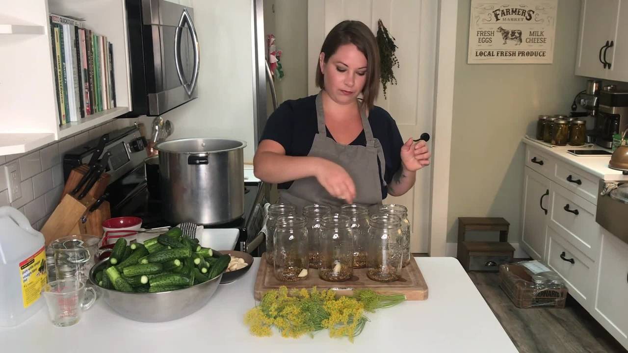 Lesson 6: Dill Pickles
