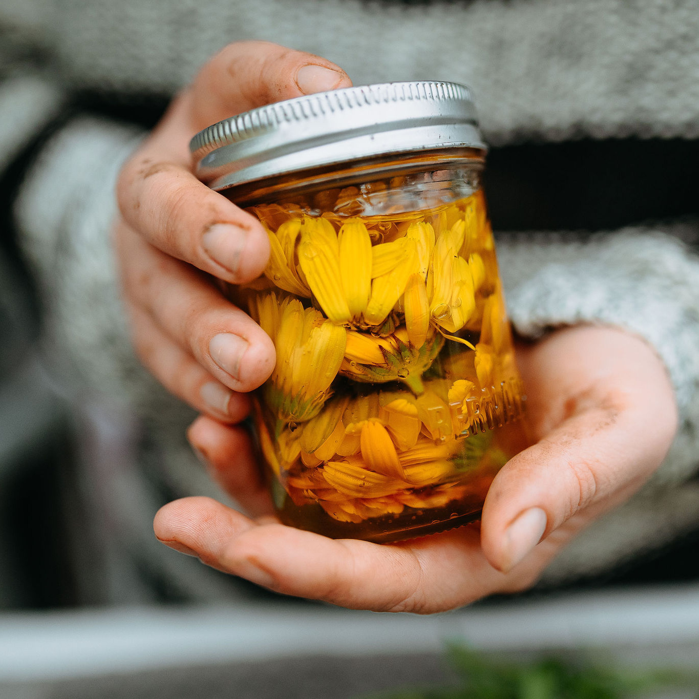 Calendula infused oil