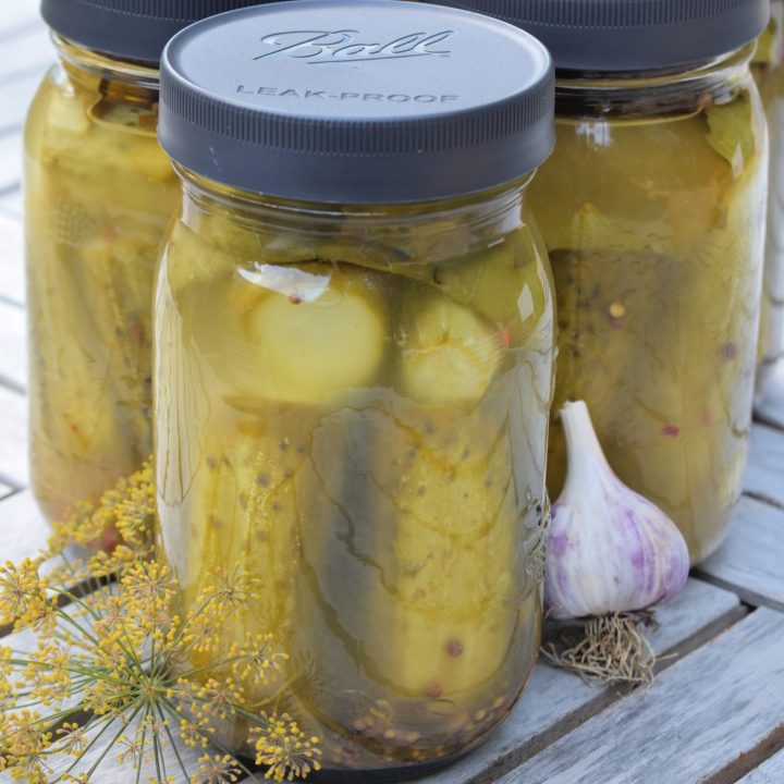 Quart jars of fermented garlic dill pickles sealed with a black lid, surrounded by fresh garlic and dill flowers on a rustic table.