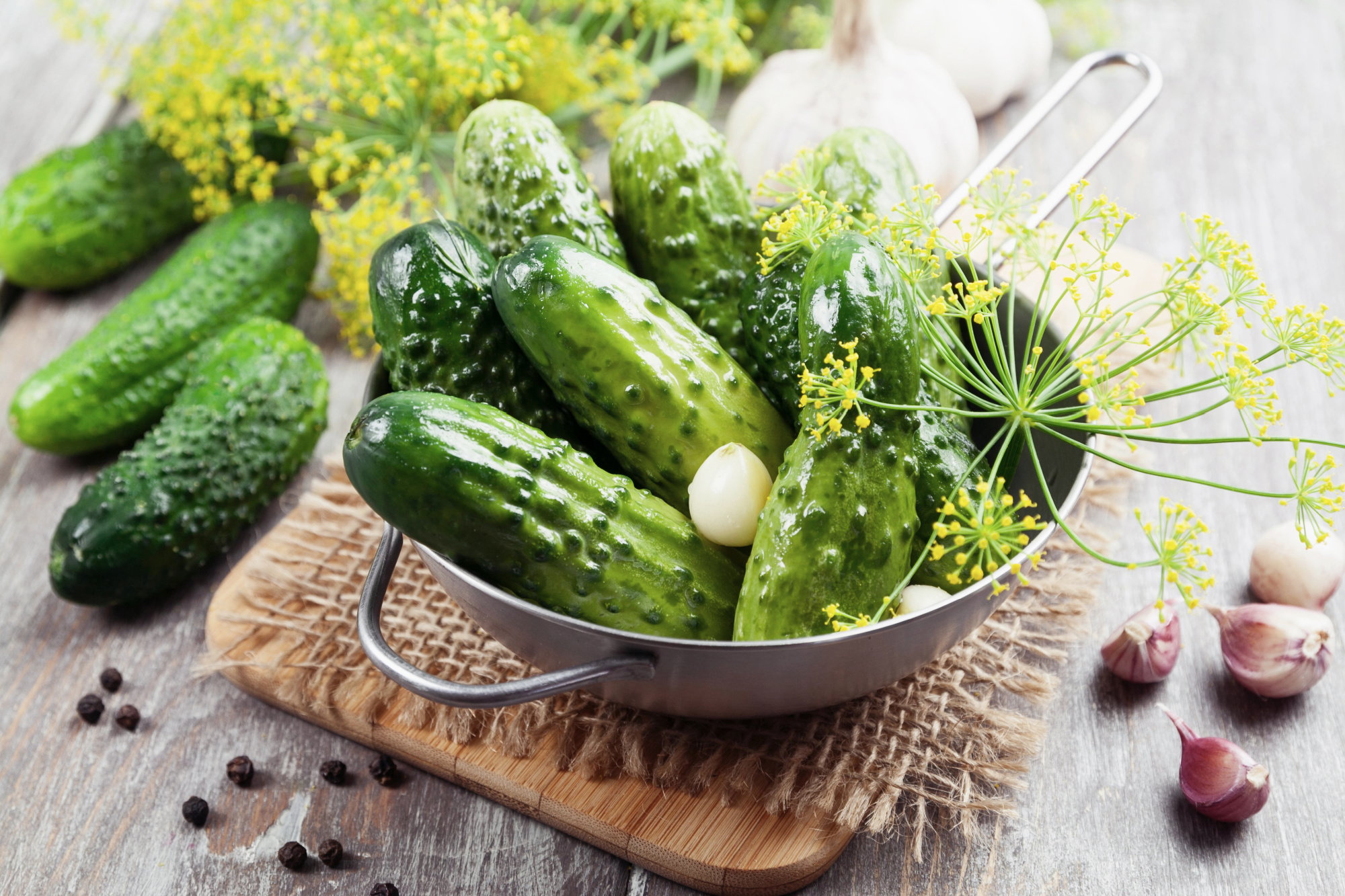 A bowl of pickling cucumbers with dill flowers nd garlic cloves.