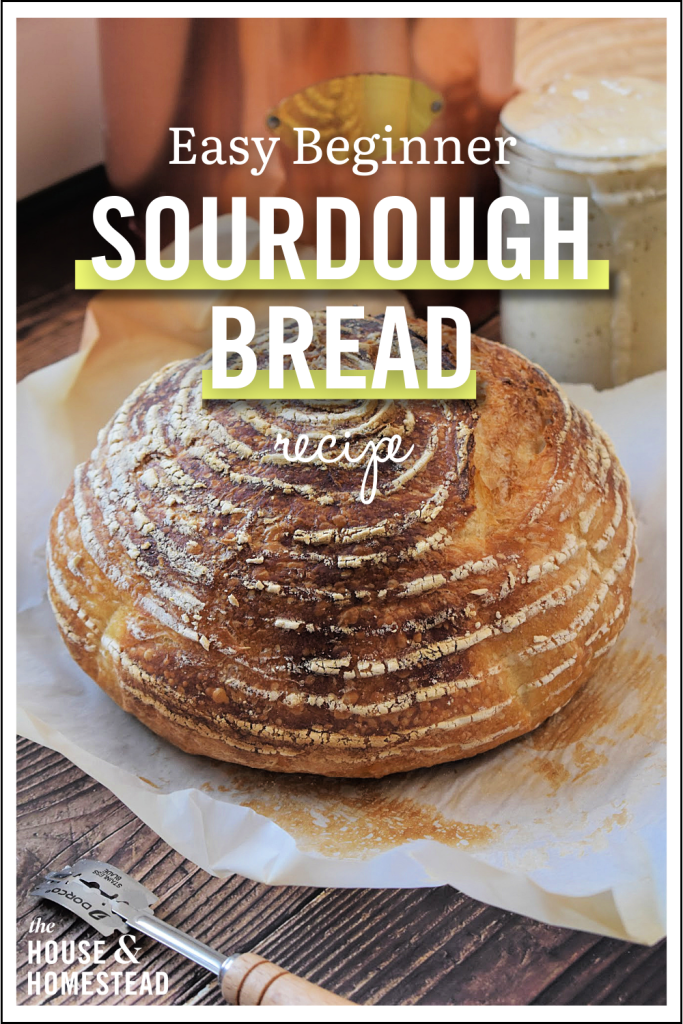 Round sourdough loaf with a rustic crust on parchment. Text overlays read "Easy Beginner Sourdough Bread Recipe." Warm, inviting kitchen setting.