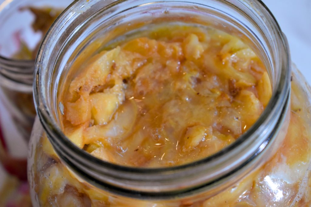 A glass jar full of fermented apple pieces ready to be strained into apple cider vinegar