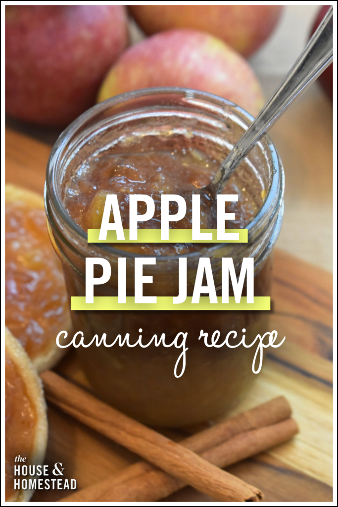 A jar of golden-brown apple pie jam with a spoon, cinnamon sticks, and fresh apples, labeled “Apple Pie Jam: canning recipe”. Warm, rustic, and inviting.