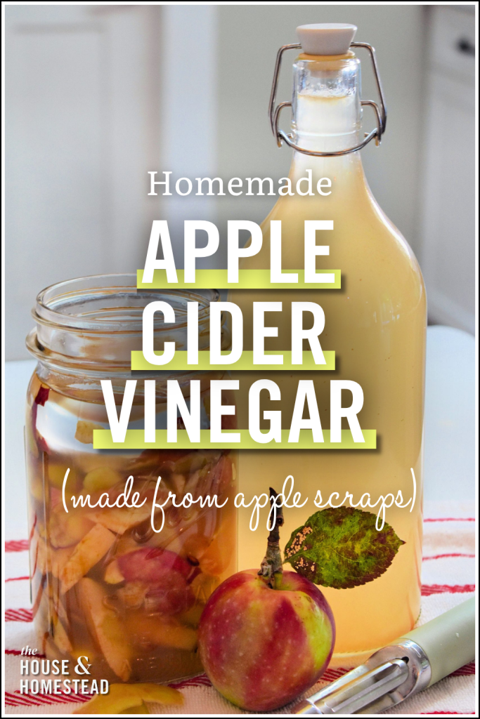 A jar of fermenting apple scraps beside a bottle of golden cider vinegar, with a fresh apple and leaf on a cloth; rustic, homemade tone.